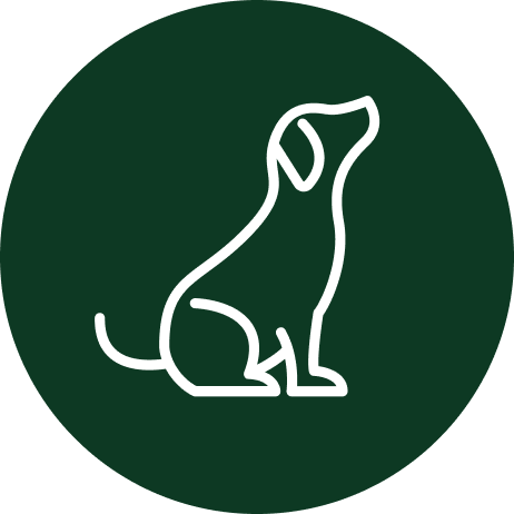 Hundeklær