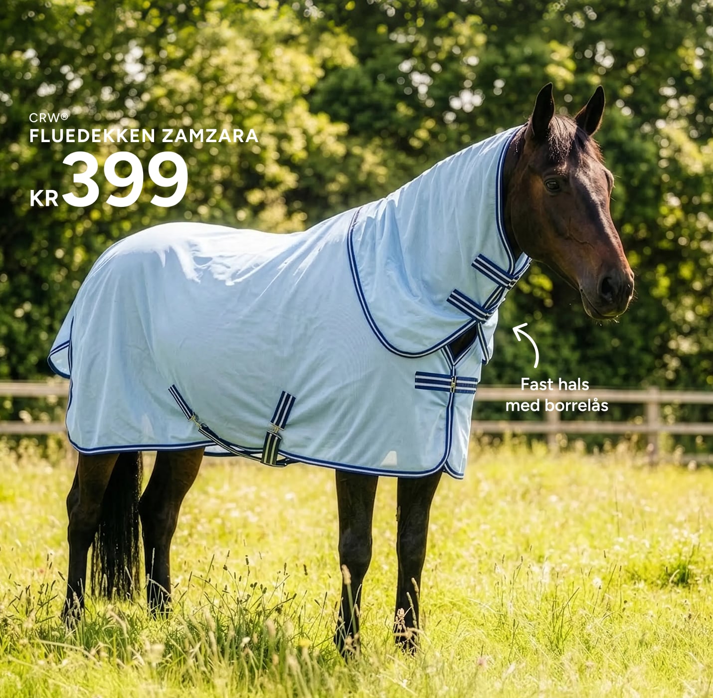 fly sheet horse
