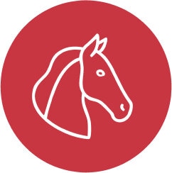 Hest