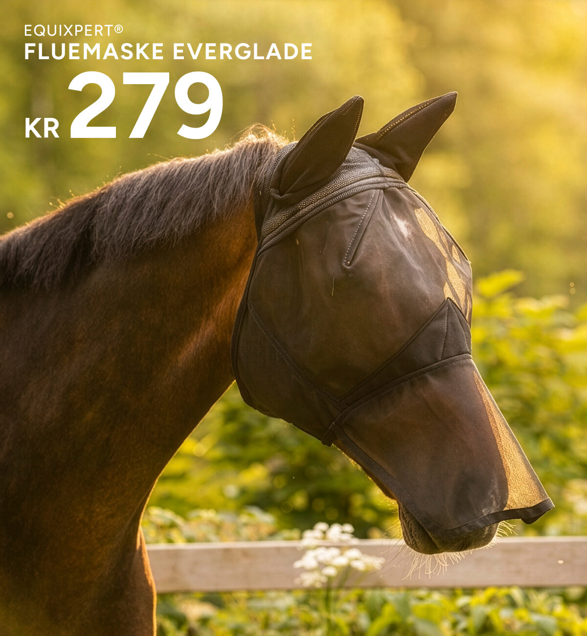 everglade