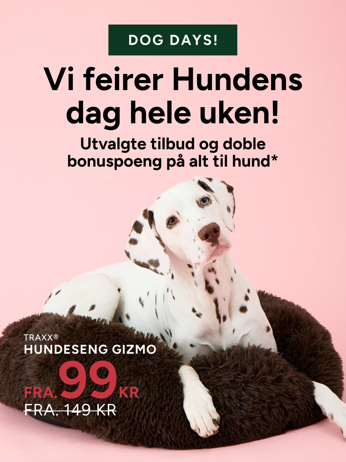 dog deals
