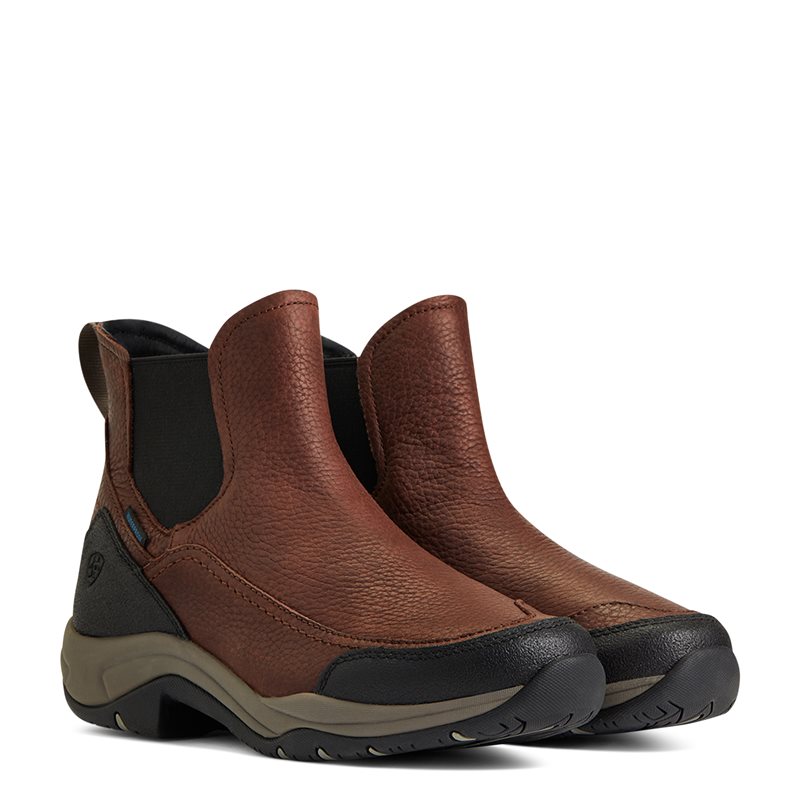 Jodhpurs Wms Terrain Blaze Waterproof ARIAT® Mørkebrun