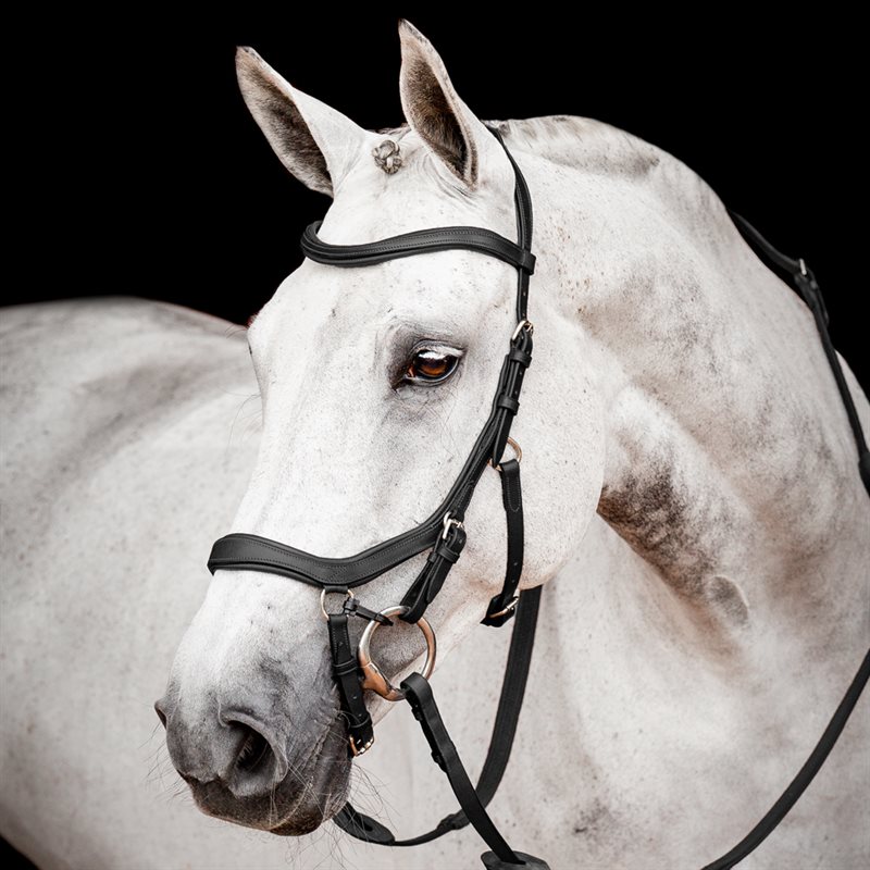 Hodelag Micklem Competition Horseware® Svart