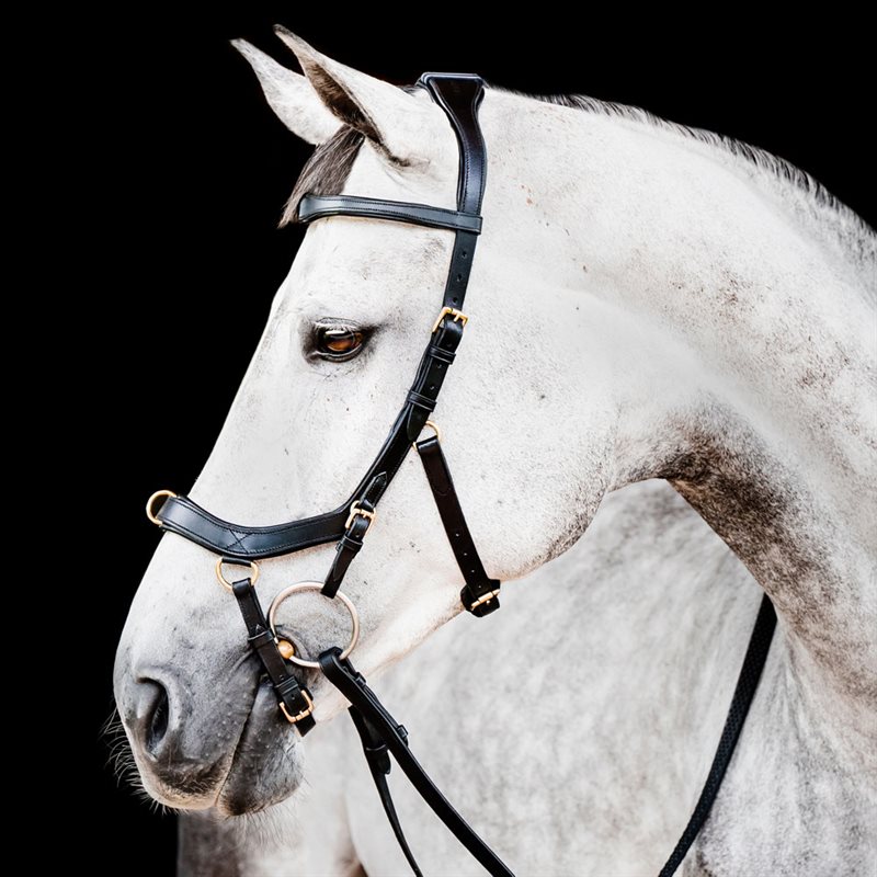 Hodelag Micklem Multibridle Horseware® Svart