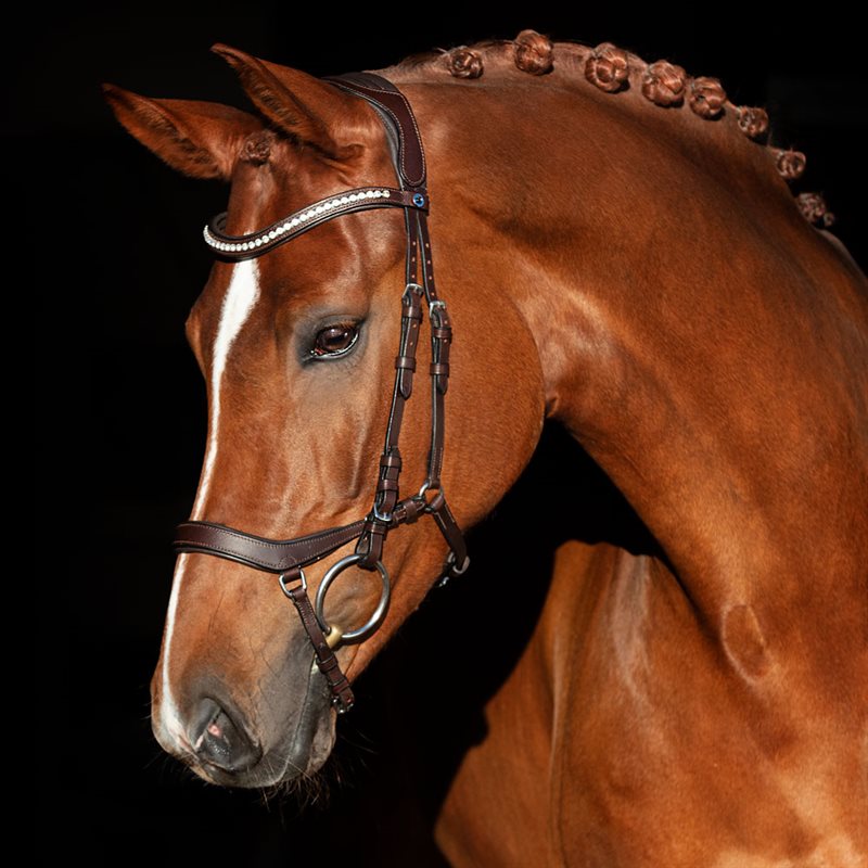 Hodelag Chester II Fairfield® Mørkebrun