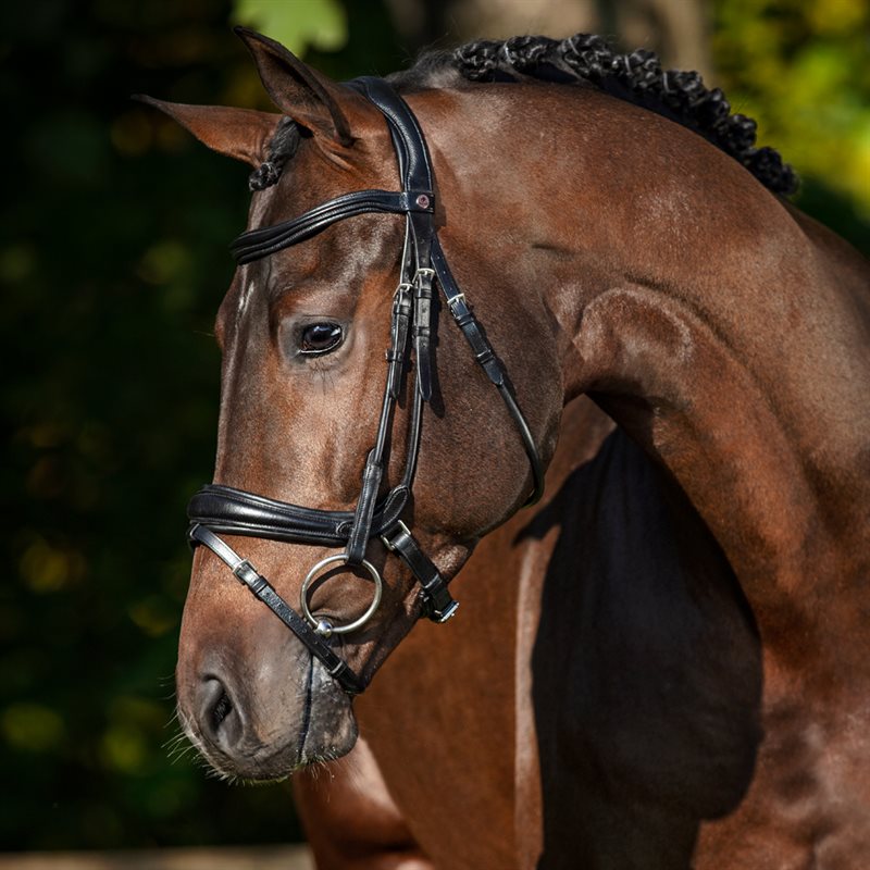 Aachenhodelag Neston Fairfield® Svart