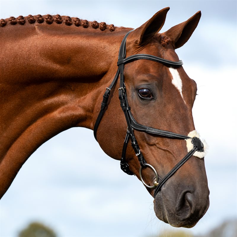 Krysshodelag Harlow Fairfield® Svart