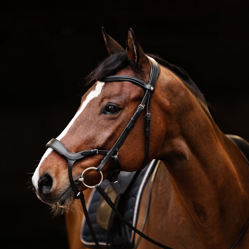 Hodelag Derby Fairfield® Svart