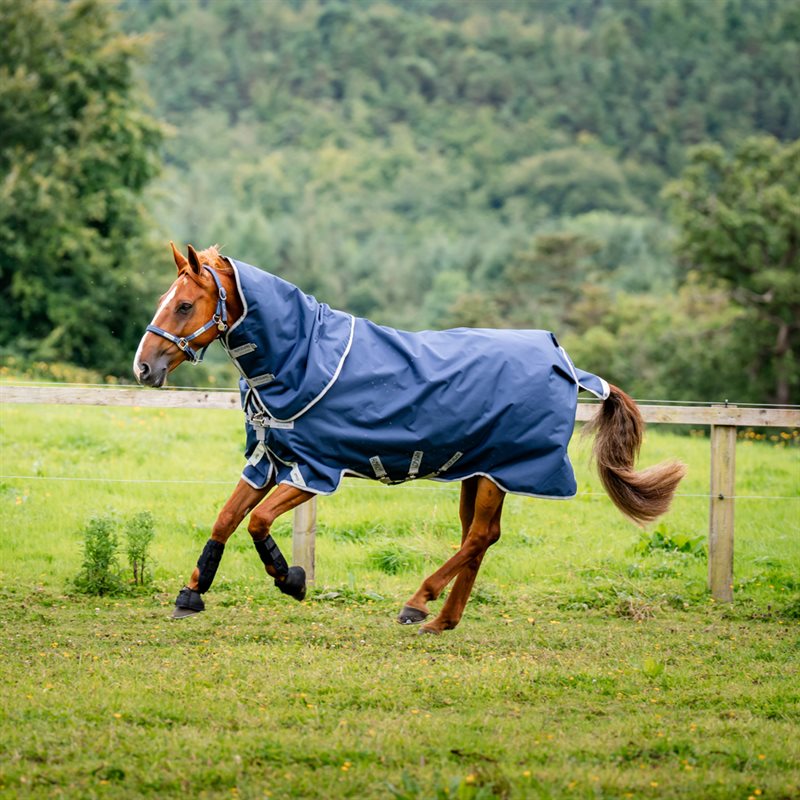 Regndekken Amigo Bravo 12 Plus Turnout Lite Horseware® Dark Navy
