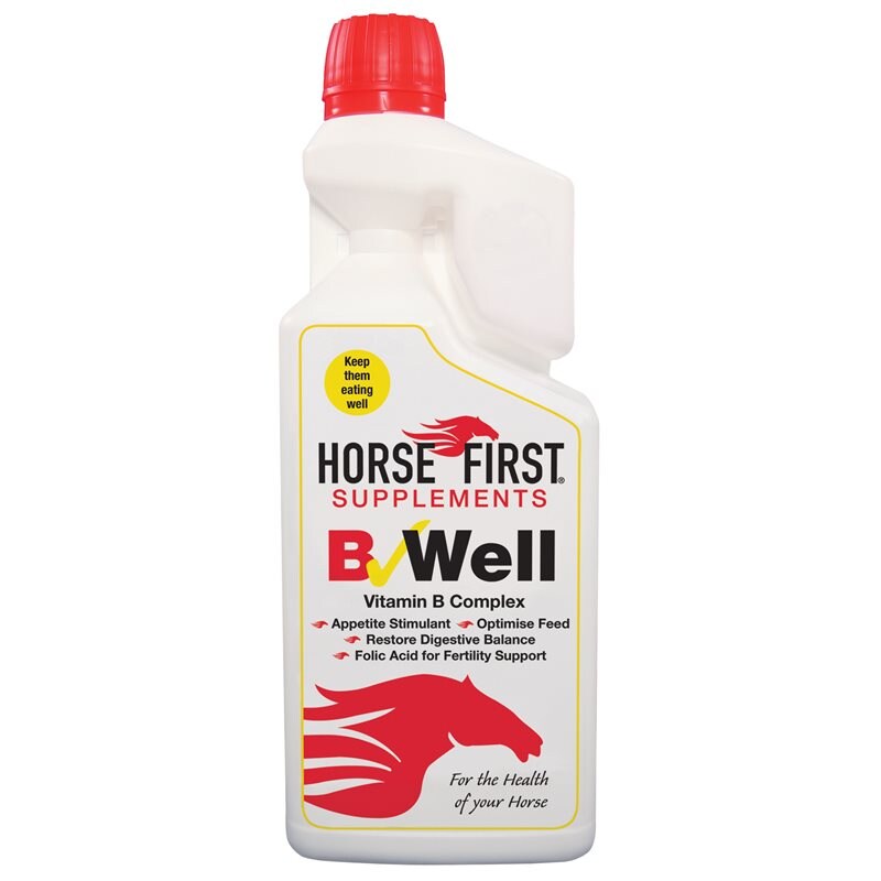 Kompletteringfôr B well HORSE FIRST®