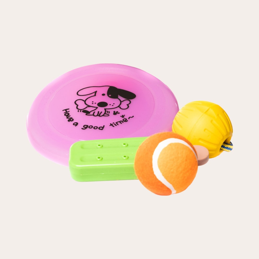 Hundeleke Active Canis Dog Toy Mix Active Canis