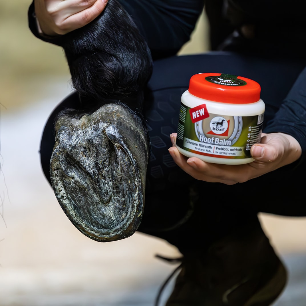 Hoof Balm Prebiotic 450 ml leovet®