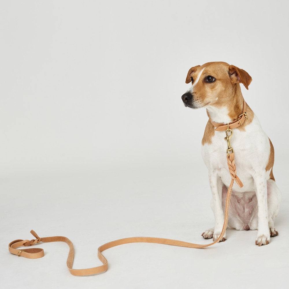 Kobbel Lær Stroll traxx®