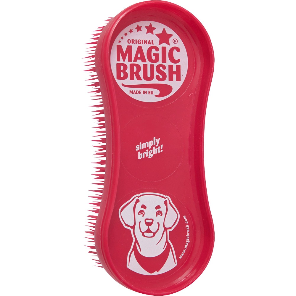Piggbørste Hund  Magic Brush