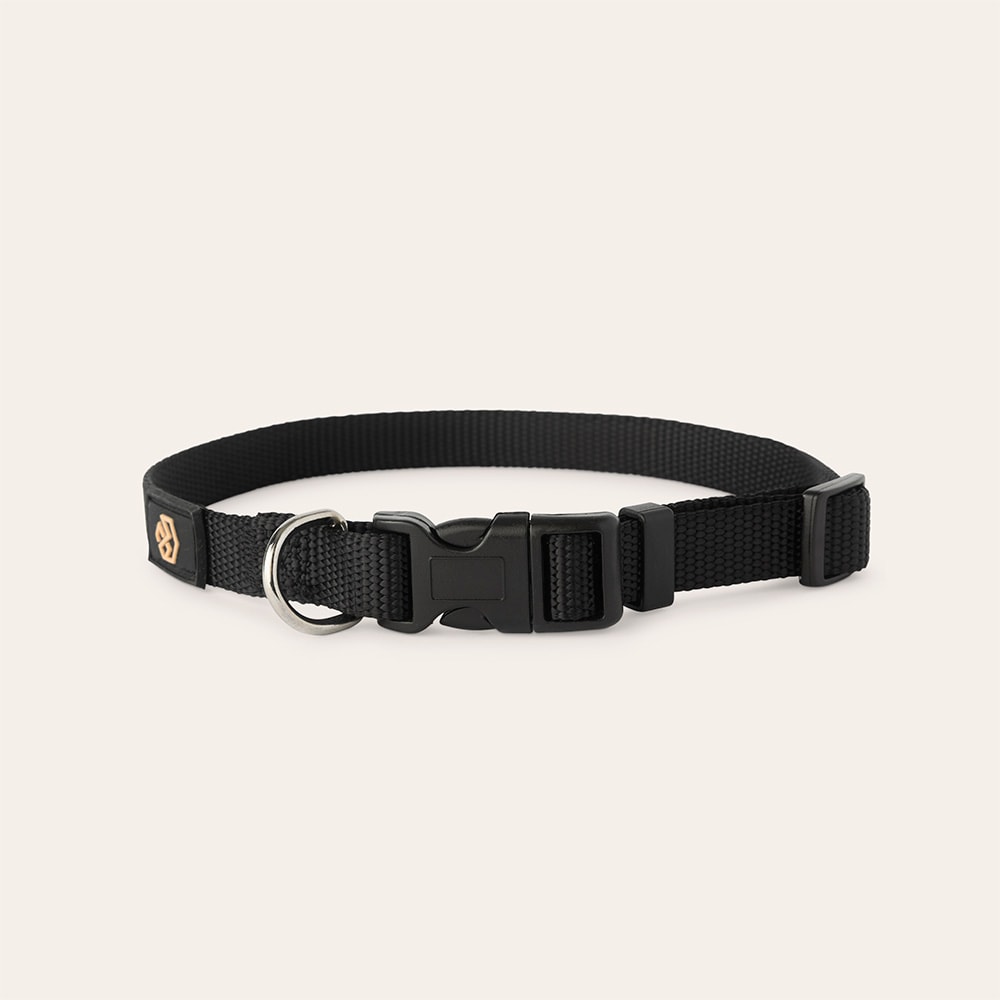 Halsbånd Hund Colour 2.0 traxx®