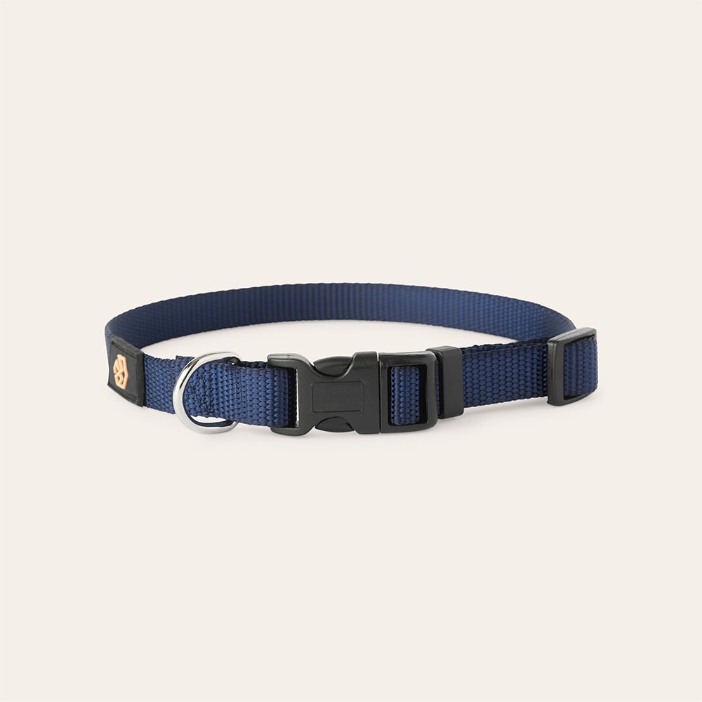 Halsbånd Hund Colour 2.0 traxx®