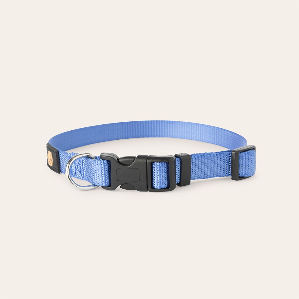 Halsbånd Hund Colour 2.0 traxx®