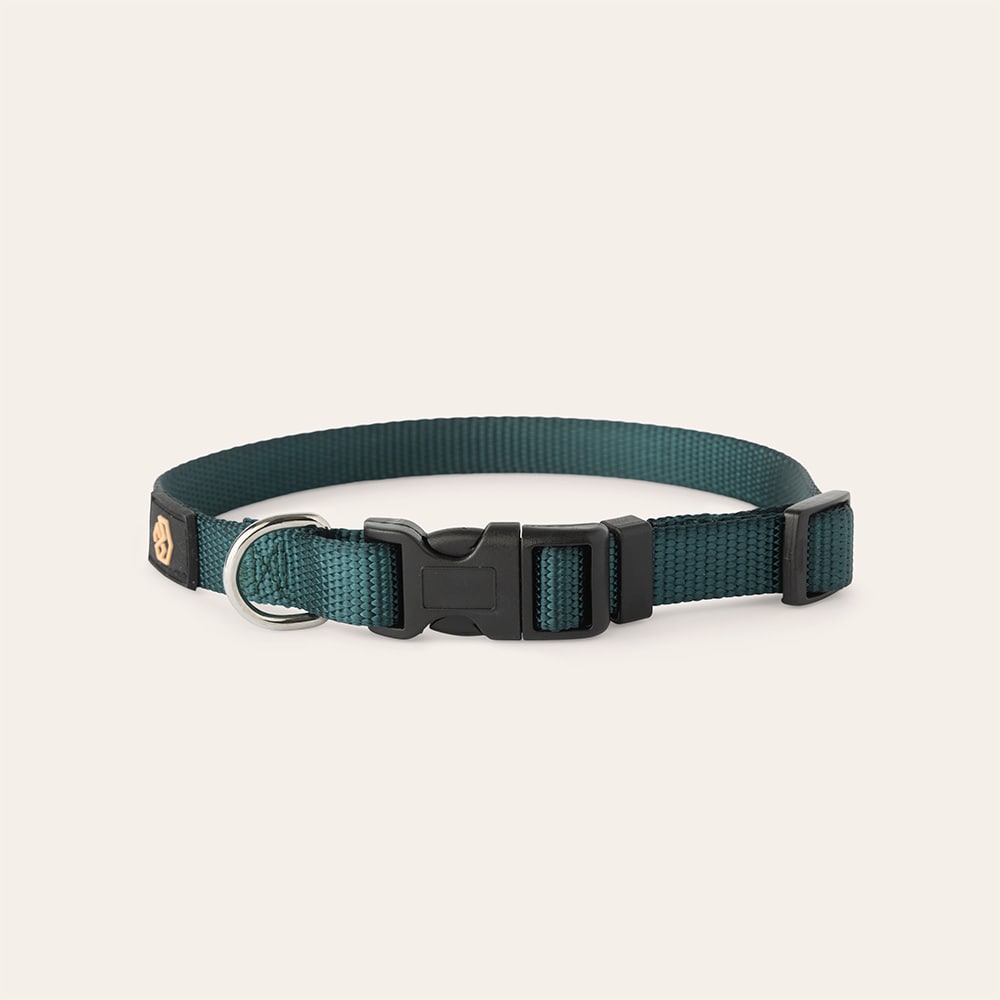 Halsbånd Hund Colour 2.0 traxx®