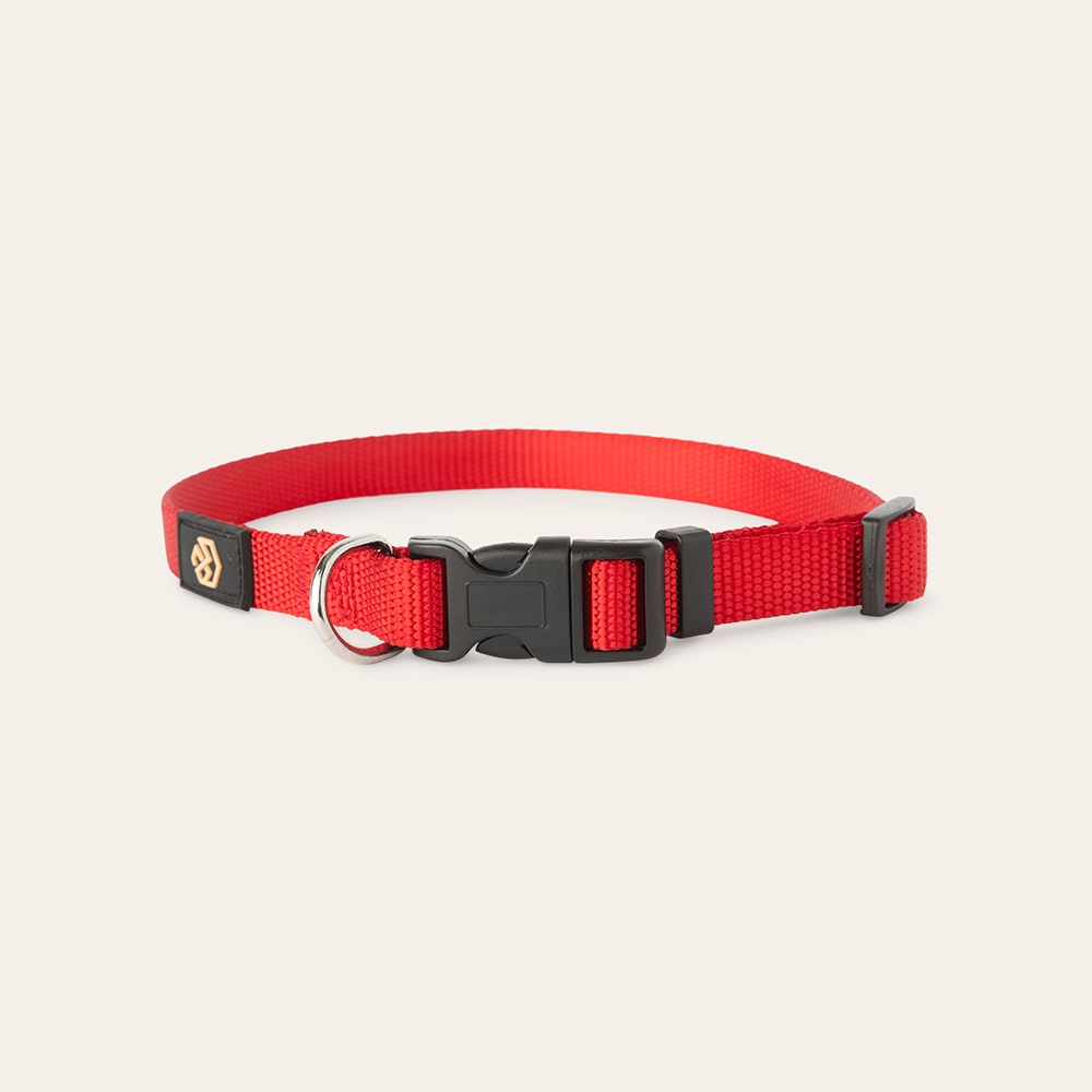 Halsbånd Hund Colour 2.0 traxx®