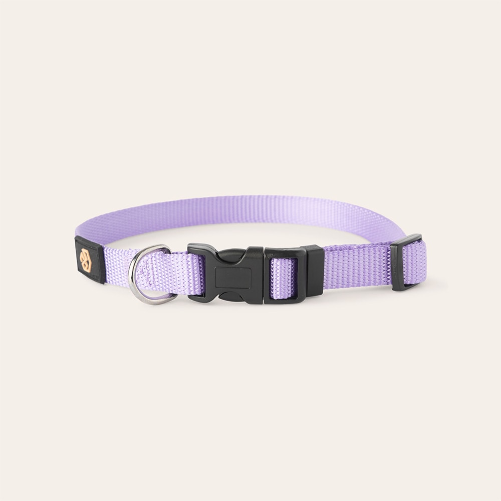 Halsbånd Hund Colour 2.0 traxx®
