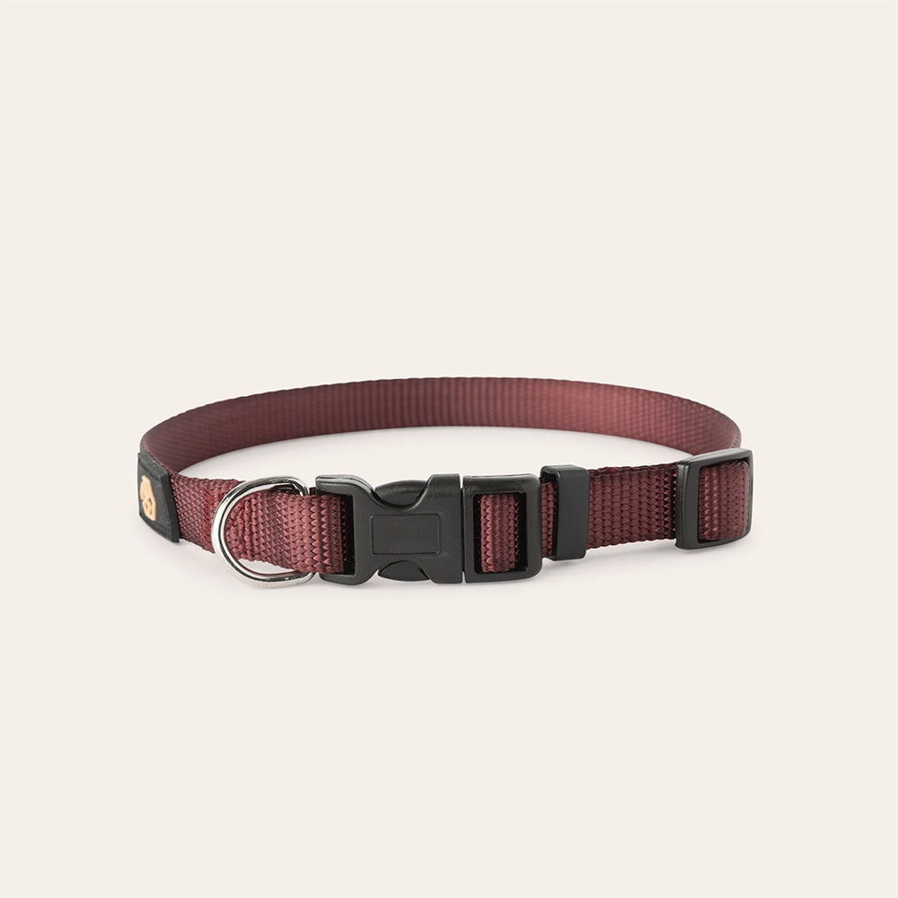 Halsbånd Hund Colour 2.0 traxx®