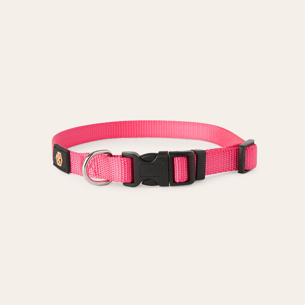 Halsbånd Hund Colour 2.0 traxx®
