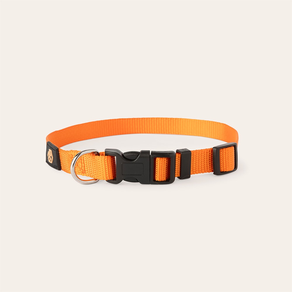 Halsbånd Hund Colour 2.0 traxx®