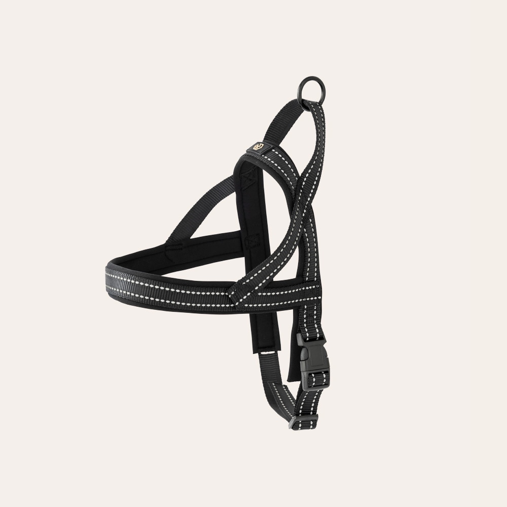 Hundesele Base 2.0 traxx®