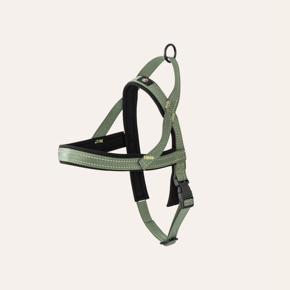 Hundesele Base 2.0 traxx®