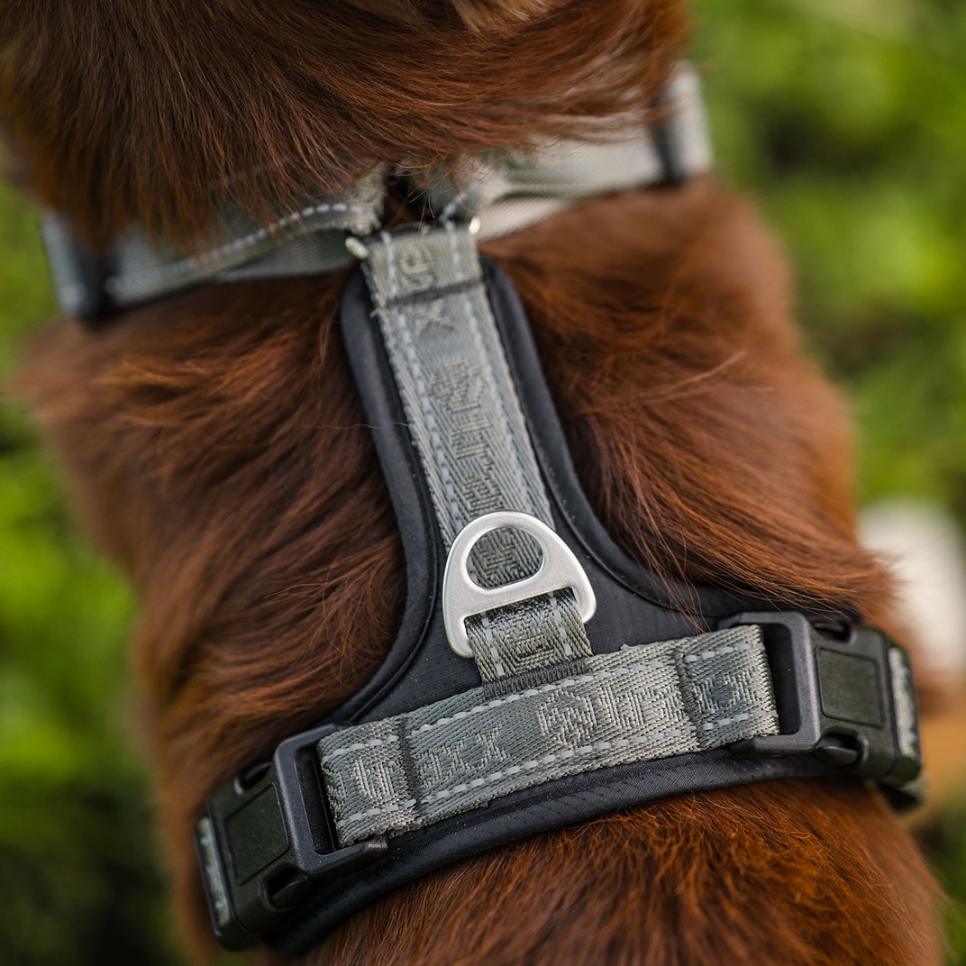Hundesele Troja traxx®