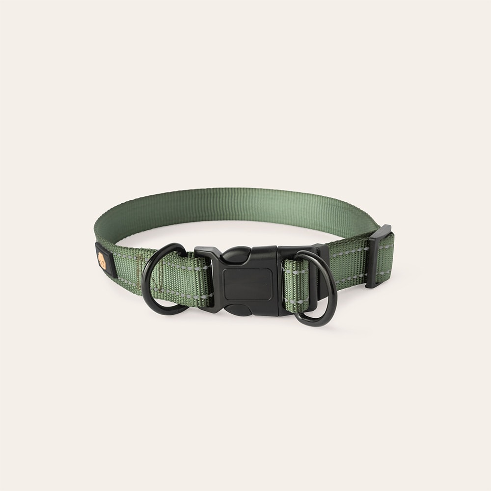 Halsbånd og kobbel Hund Traxx Base Multi 2.0 Halsband traxx®