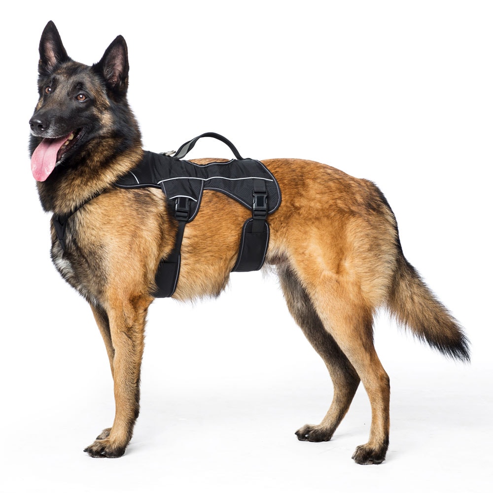 Hundesele  Trekking traxx®