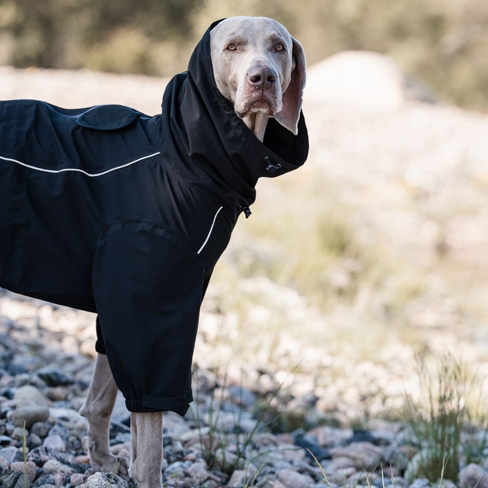 Hundeoverall  Evo Rain traxx®