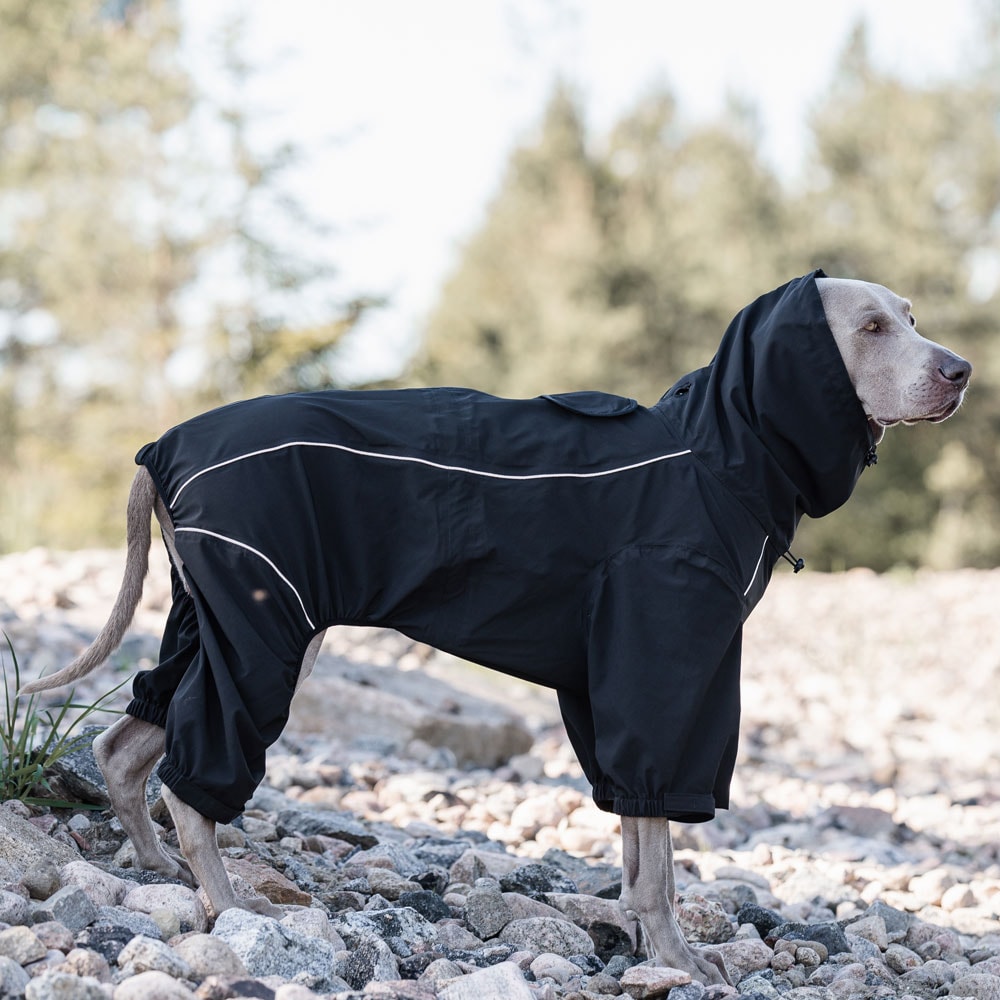 Hundeoverall  Evo Rain traxx®