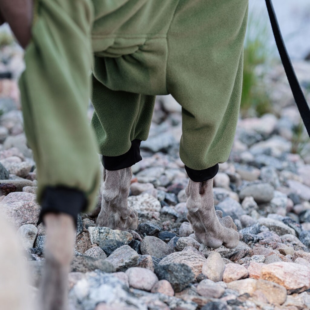 Hundeoverall Evo Fleece traxx® Hööks