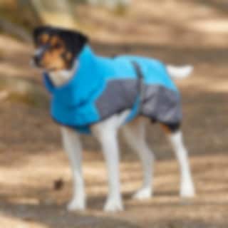 Showmaster hund Showmaster hund