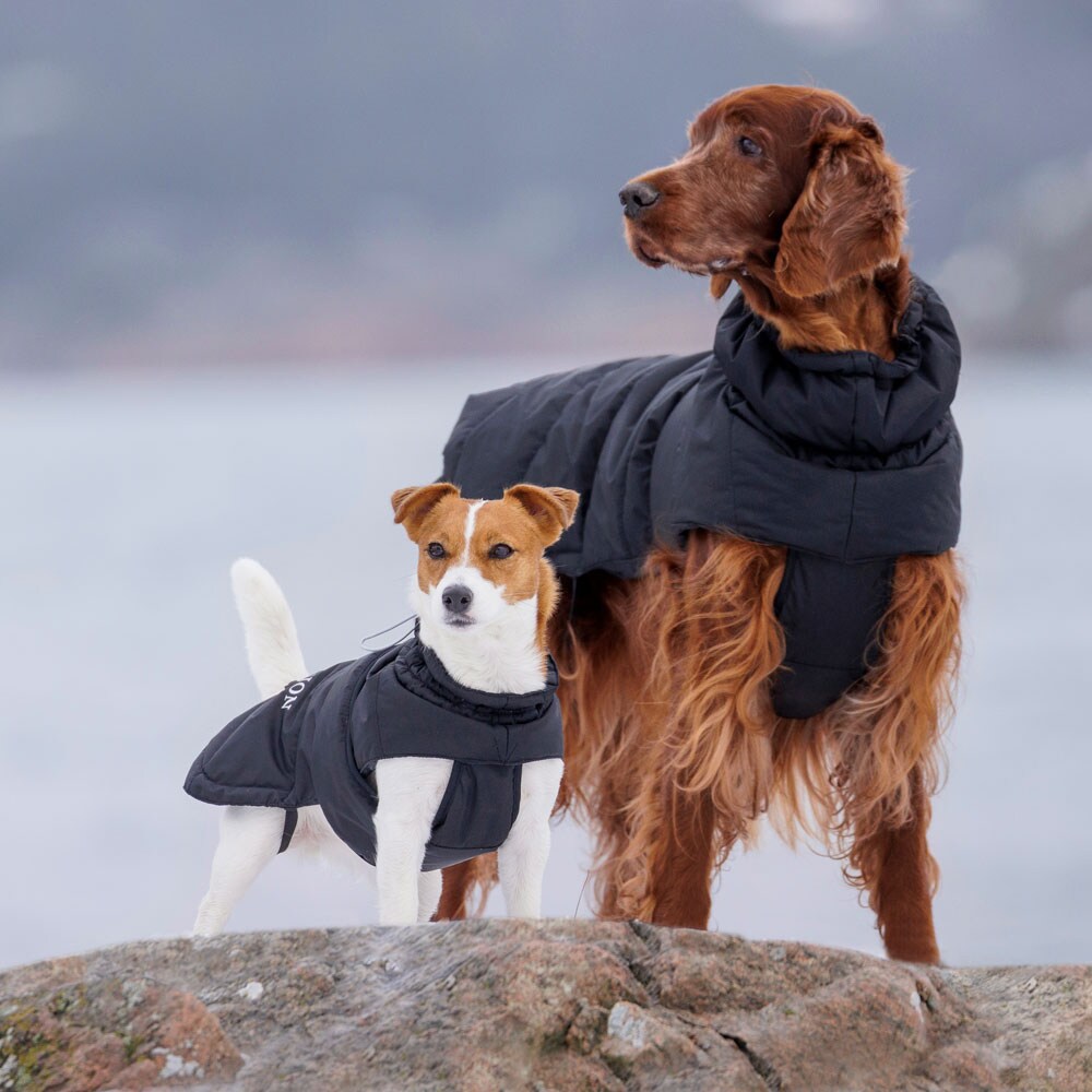 Hundedekken Warrior JH Collection®