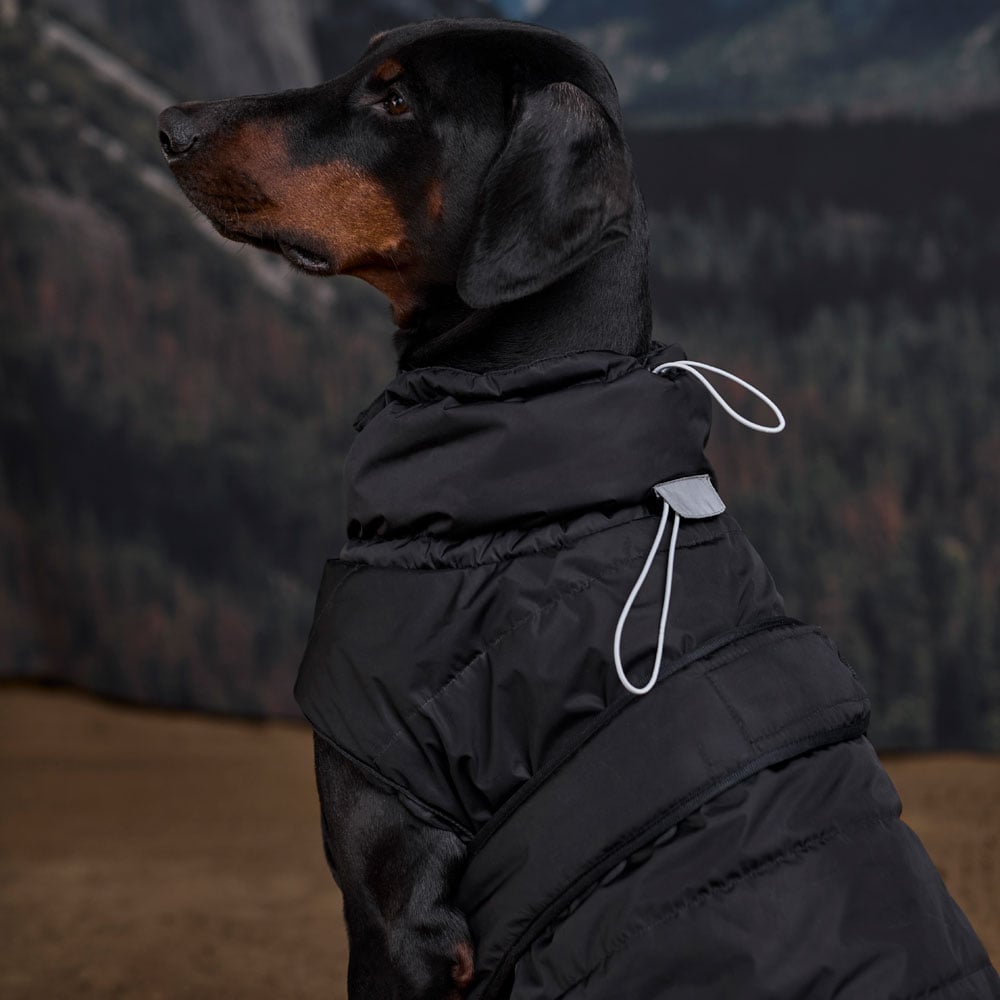 Hundedekken Warrior JH Collection®
