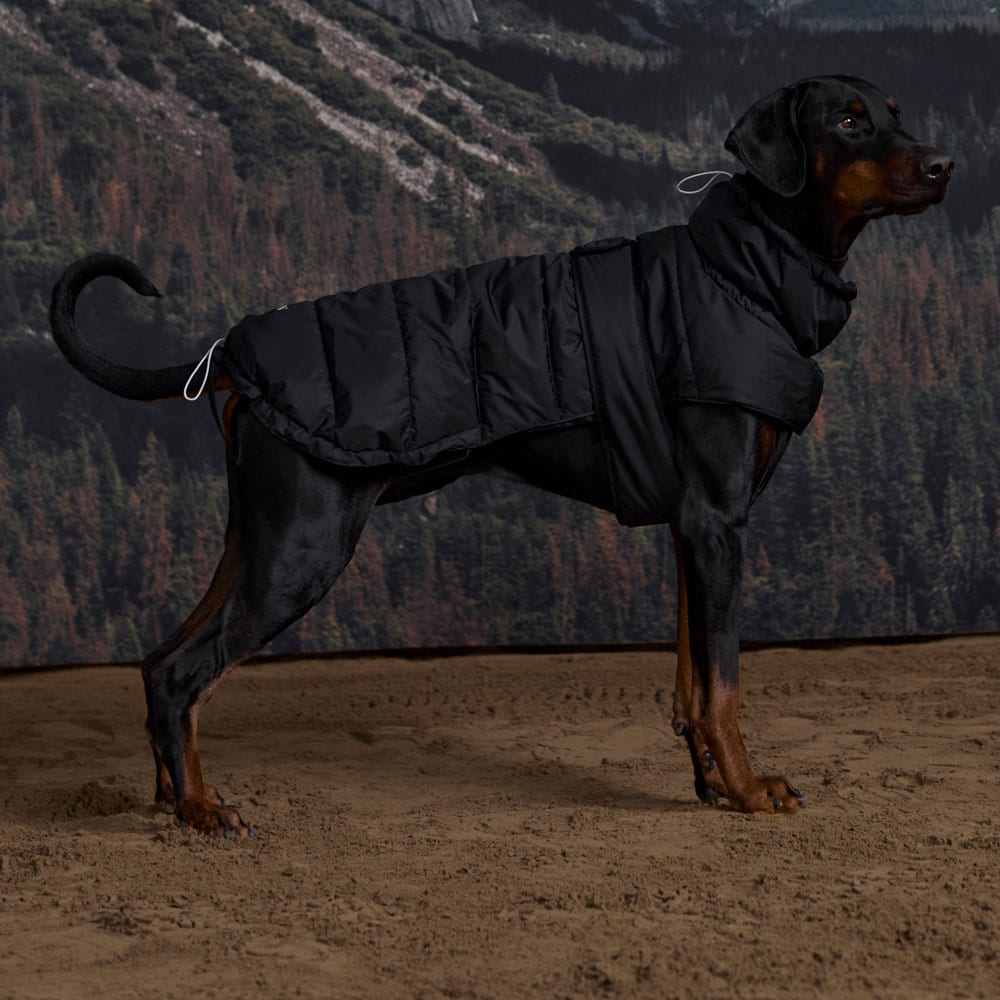 Hundedekken Warrior JH Collection®