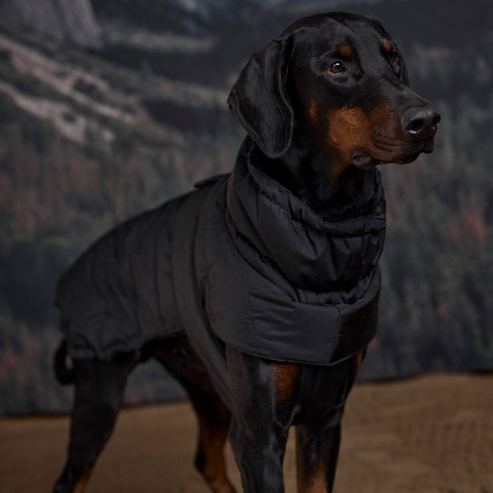 Hundedekken Warrior JH Collection®