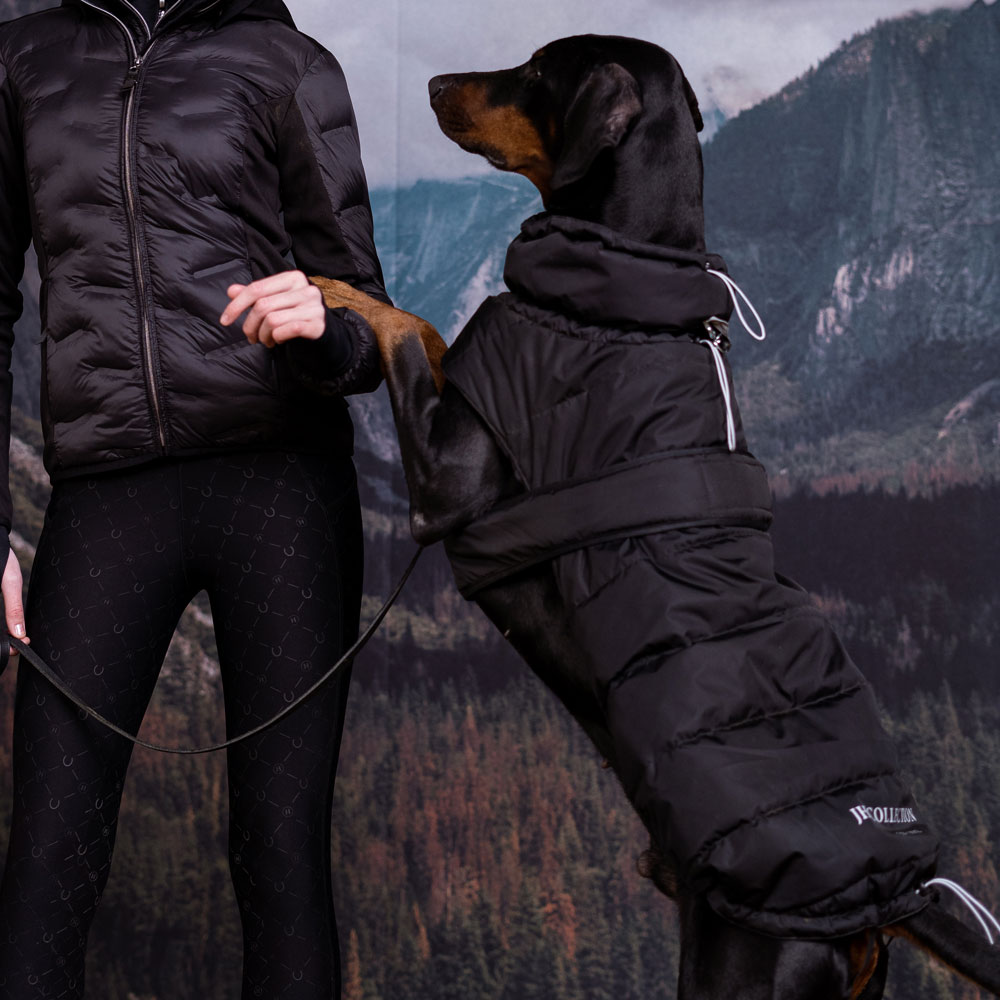 Hundedekken Warrior JH Collection®