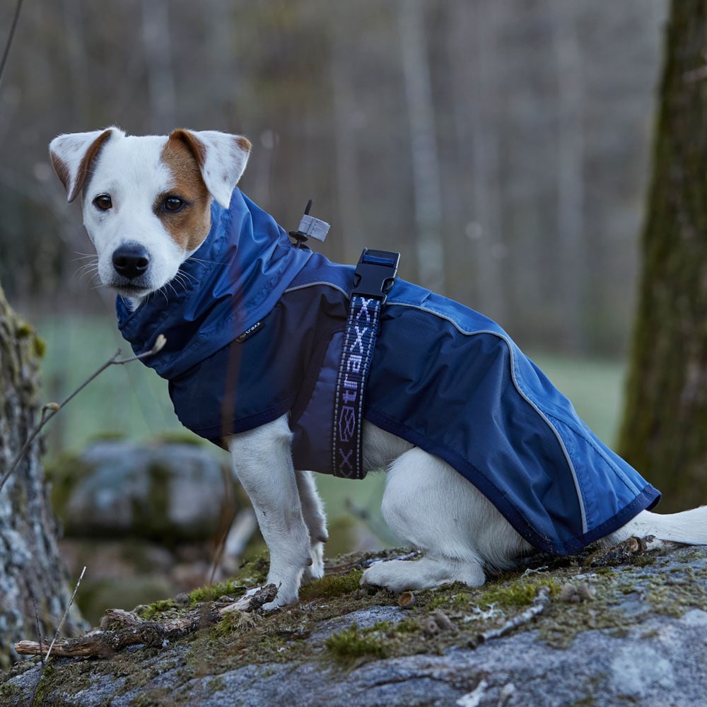 Hundedekken  Zorro Rain traxx®