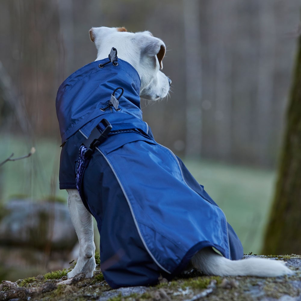 Hundedekken  Zorro Rain traxx®