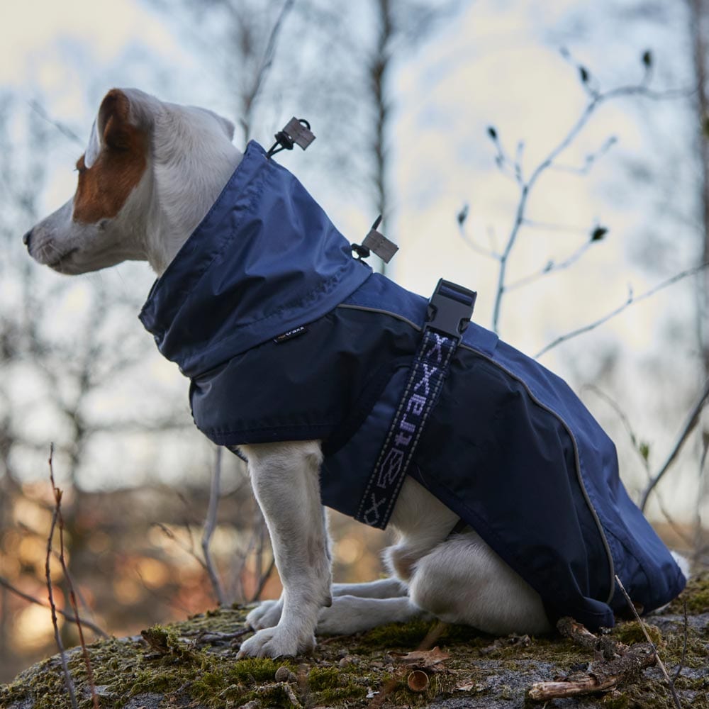 Hundedekken  Zorro Rain traxx®