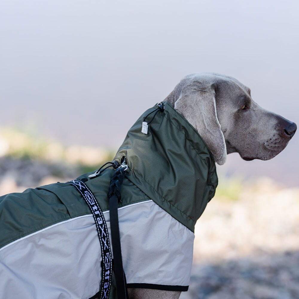 Hundedekken  Zorro Rain traxx®