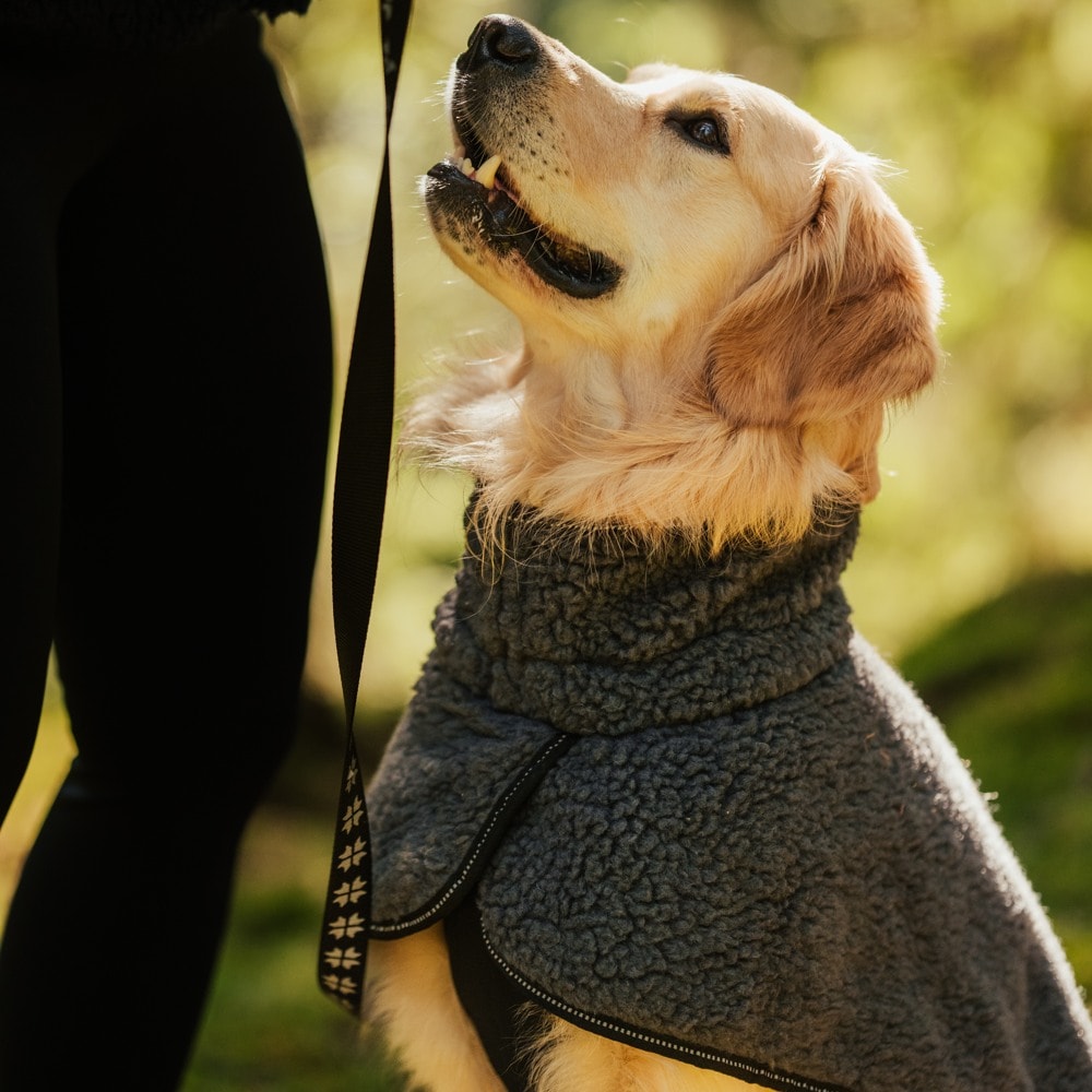 Hundedekken Dolly traxx®