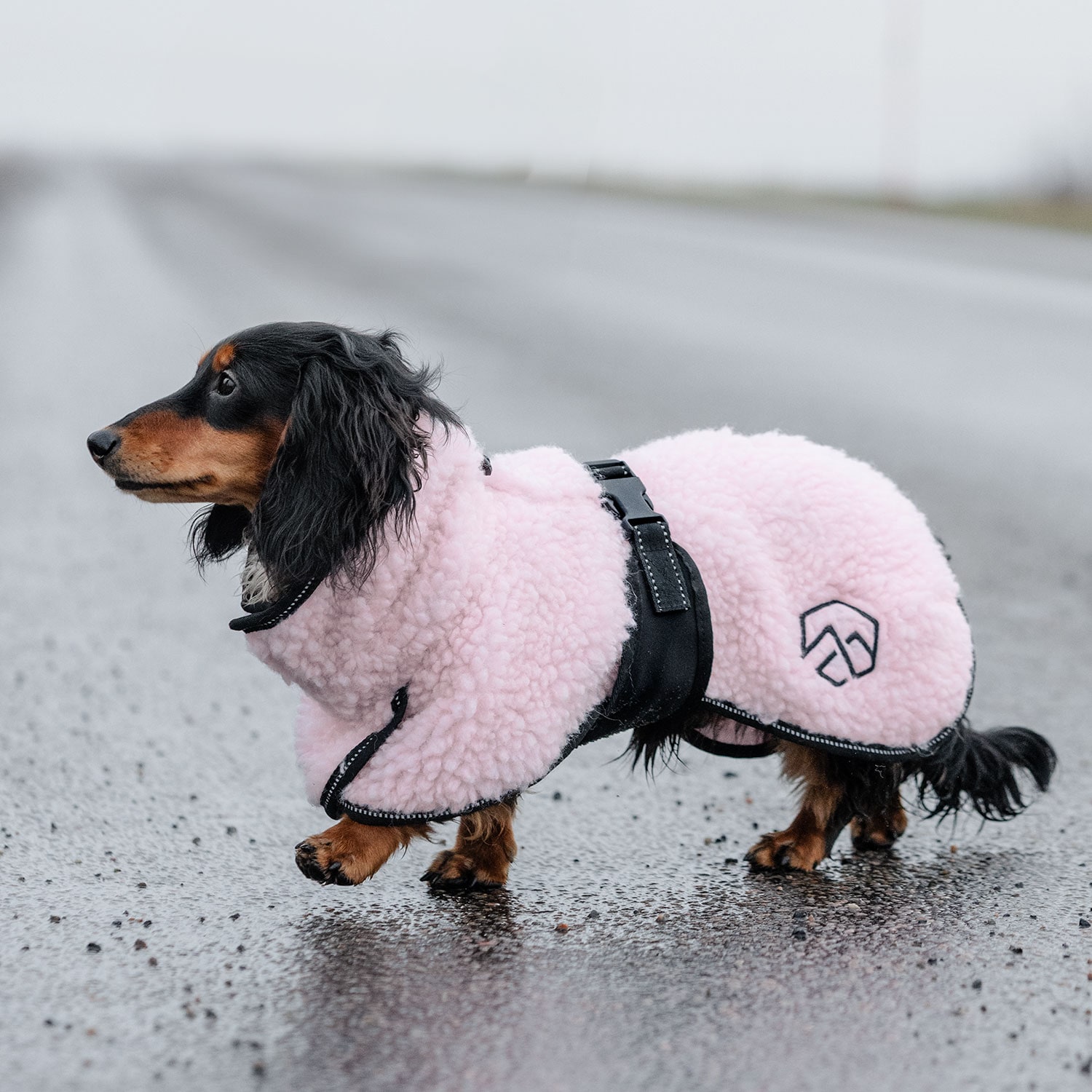 Hundedekken  Dolly traxx®
