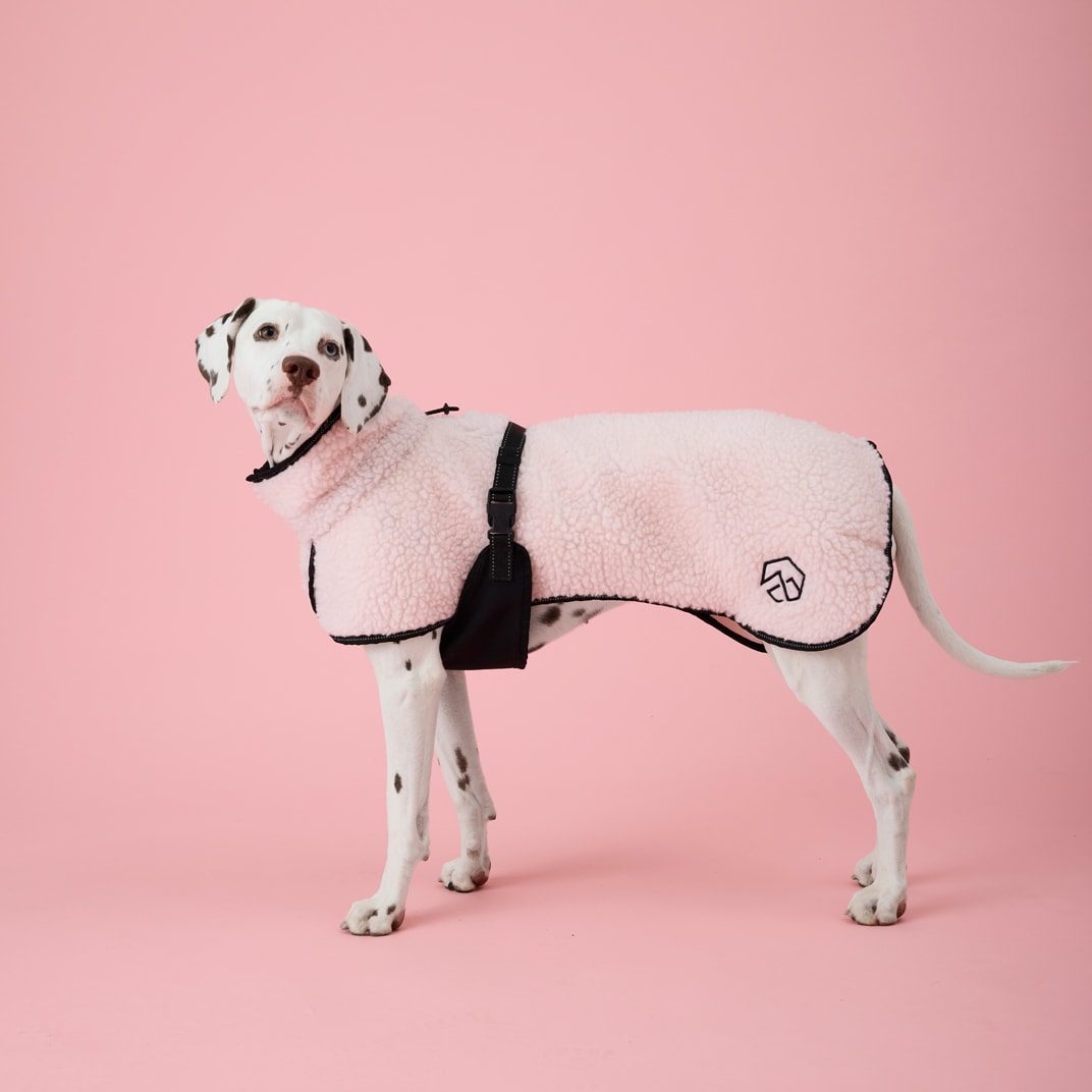 Hundedekken Dolly traxx®