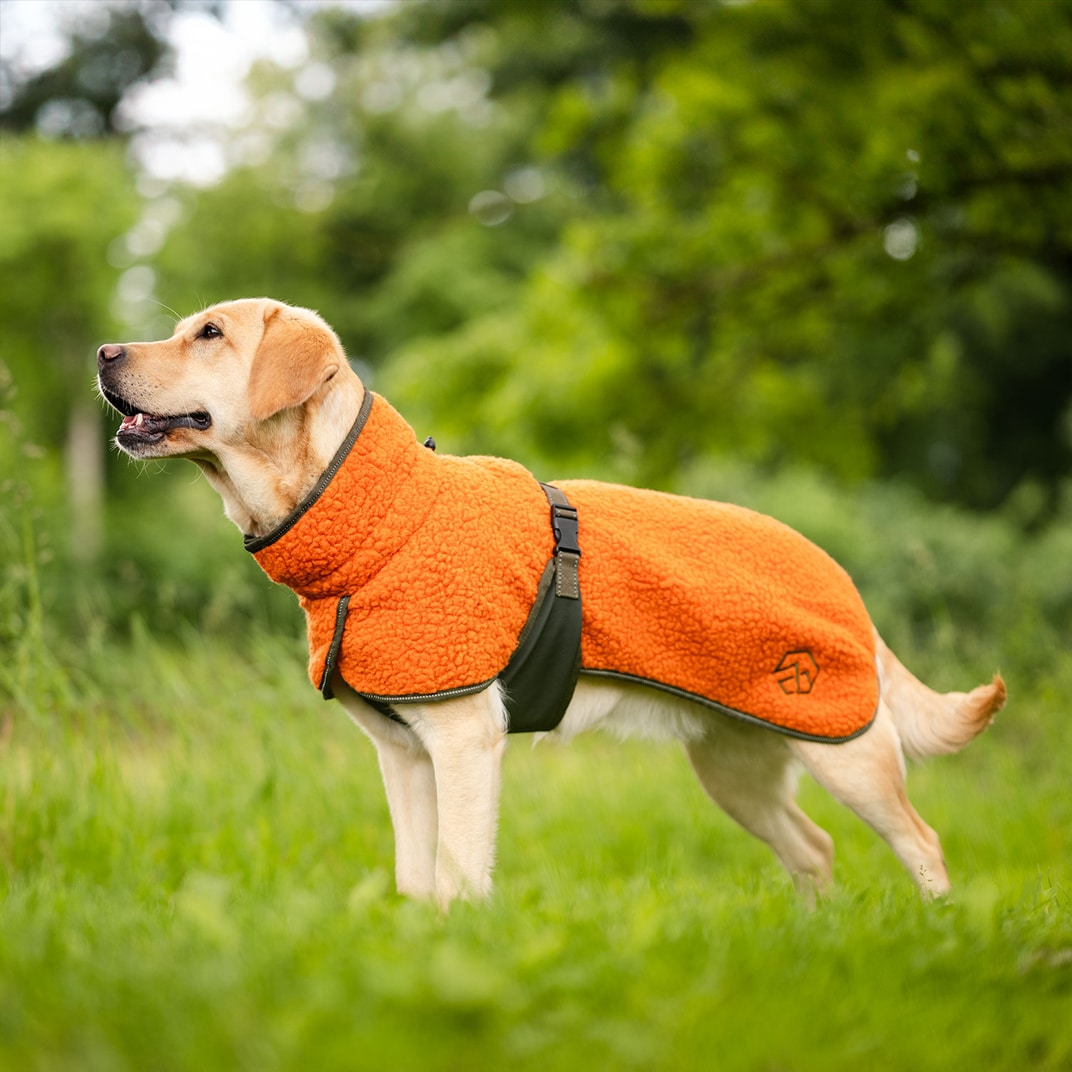 Hundedekken Dolly traxx®