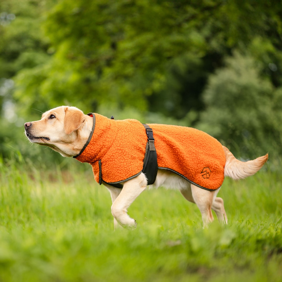 Hundedekken Dolly traxx®